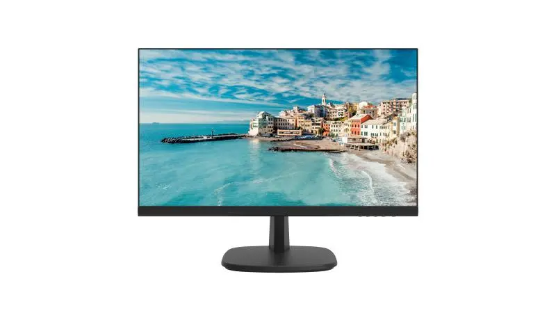 HIKVISION D5024FN | 24" LED