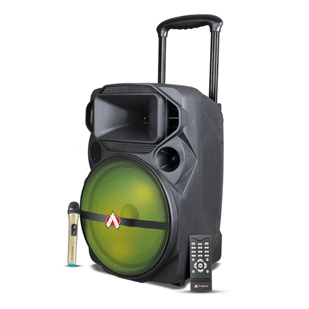 AUDIONIC MH5555 SPEAKER 15INCH