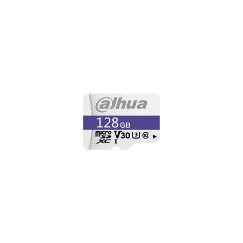 DAHUA 128GB | C100 MSD