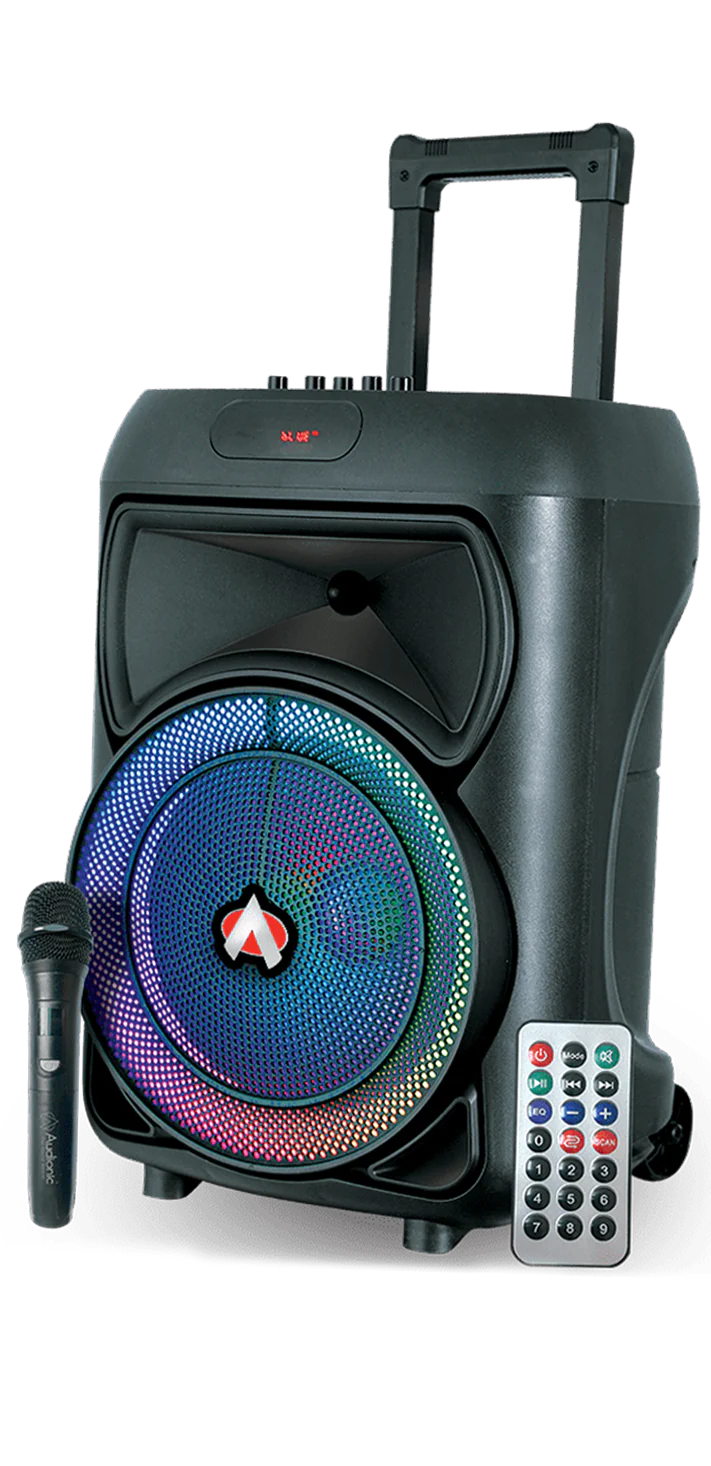 AUDIONIC MH715 | 12" TROLLY SPEAKER