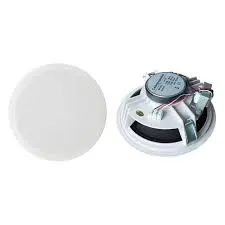 [SPEAKER] CEILING 5-6" SPEAKER (2680)