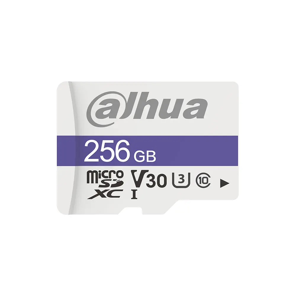 DAHUA 256GB | C100 MSD