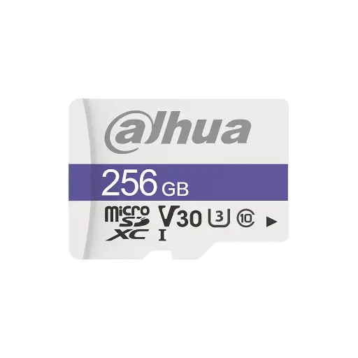 DAHUA 256GB | C100 MSD